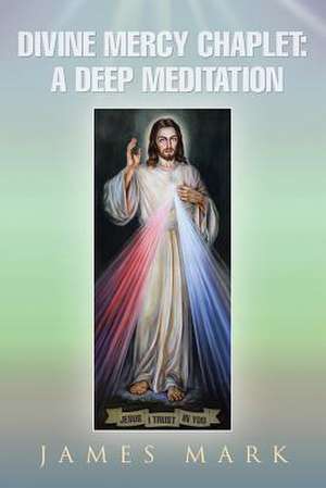 The Divine Mercy Chaplet de James Mark