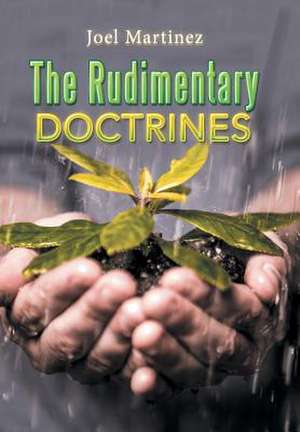 The Rudimentary Doctrines de Joel Martinez