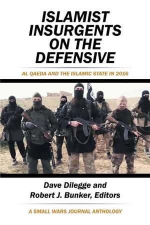 Islamist Insurgents on the Defensive de Dave Dilegge