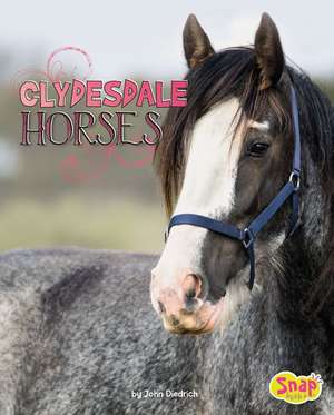 Clydesdale Horses de John Diedrich