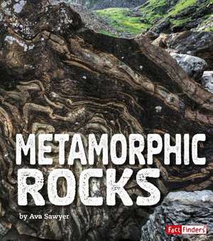 Metamorphic Rocks de Ava Sawyer