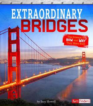 Extraordinary Bridges de Sonya Newland