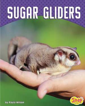 Sugar Gliders de Paula M. Wilson