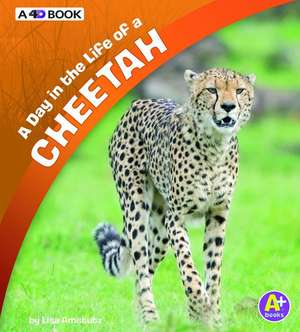 A Day in the Life of a Cheetah de Lisa J. Amstutz