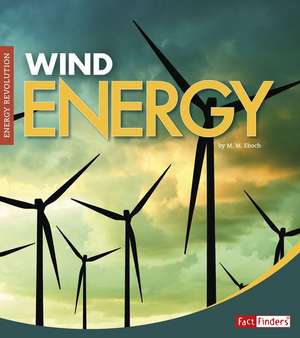 Wind Energy de Christine Elizabeth Eboch