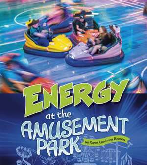 Energy at the Amusement Park de Karen Latchana Kenney