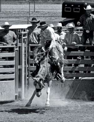 Saddle Broncs de David Ullman