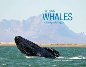 Friendly Whales of San Ignacio Lagoon de Barbara Madaras