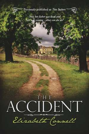 The Accident: Volume 1 de Elizabeth Connell