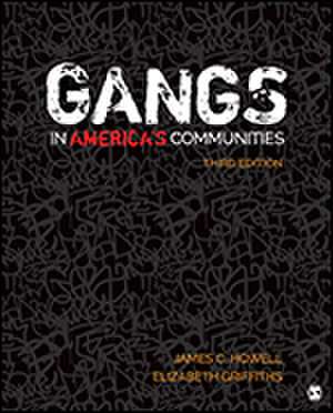 Gangs in America's Communities de James C. Howell