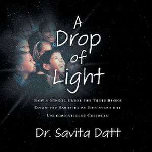 A Drop of Light de Savita Datt