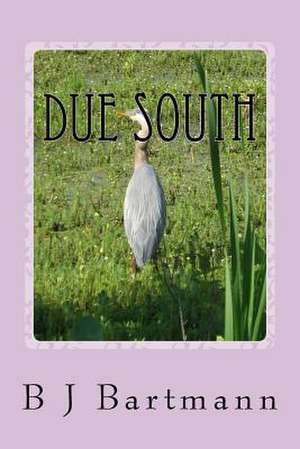 Due South de Bartmann, B. J.