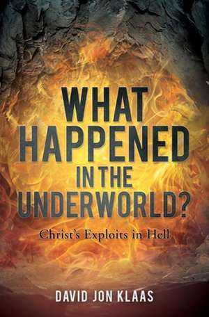 What Happened in the Underworld? de David Jon Klaas