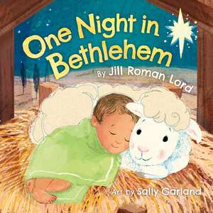 One Night In Bethlehem de Jill R Lord