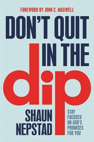 Don't Quit in the Dip de Shaun Nepstad