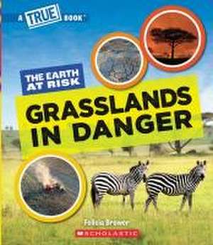 Grasslands in Danger (a True Book: The Earth at Risk) de Felicia Brower