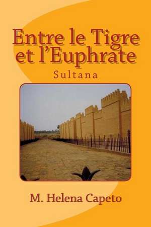 Entre Le Tigre Et L'Euphrate de M. Helena Capeto