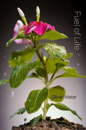 Fuel of Life de Matar, Mr Oliver