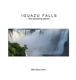 Iguazu Falls de Woo-Seoc Hann