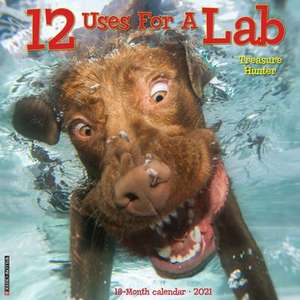 12 Uses for a Lab 2021 Wall Calendar (Dog Breed Calendar) de Willow Creek Press