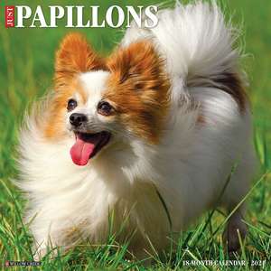 Just Papillons 2021 Wall Calendar (Dog Breed Calendar) de Willow Creek Press