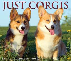 Just Corgis 2021 Box Calendar (Dog Breed Calendar) de Willow Creek Press