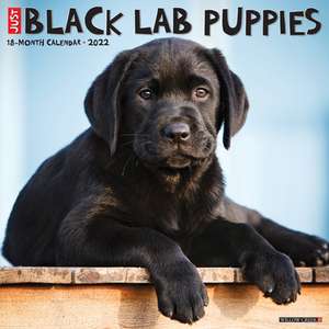 BLACK LAB PUPPIES 2022 WALL CALENDAR de Willow Creek Press