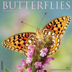 BUTTERFLIES 2022 WALL CALENDAR de Willow Creek Press