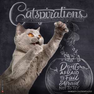 CATSPIRATIONS 2022 WALL CALENDAR de Willow Creek Press