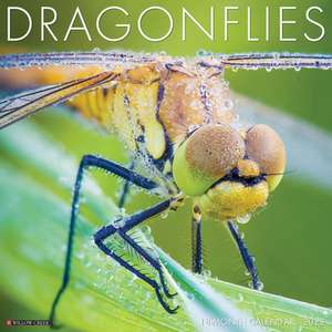 DRAGONFLIES 2022 WALL CALENDAR de Willow Creek Press