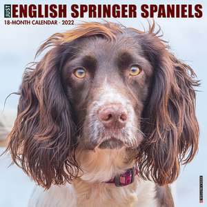 ENGLISH SPRINGER SPANIELS 2022 WALL CALE de Willow Creek Press