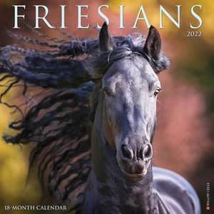 FRIESIANS 2022 WALL CALENDAR de Willow Creek Press