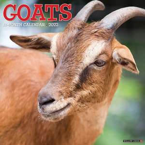 GOATS 2022 WALL CALENDAR de Willow Creek Press