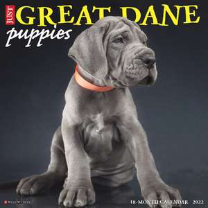 GREAT DANE PUPPIES 2022 WALL CALENDAR de Willow Creek Press