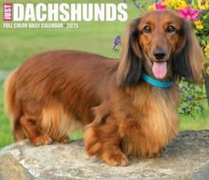 Dachshunds 2025 6.2 X 5.4 Box Calendar de Willow Creek Press