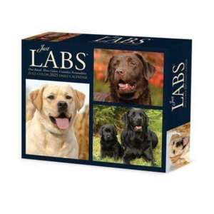 Labs 2025 6.2 X 5.4 Box Calendar de Willow Creek Press