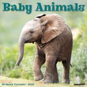 Baby Animals 2025 12 X 12 Wall Calendar de Willow Creek Press