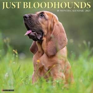 Just Bloodhounds 2025 12 X 12 Wall Calendar de Willow Creek Press