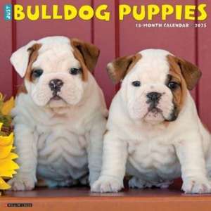 Just Bulldog Puppies 2025 12 X 12 Wall Calendar de Willow Creek Press