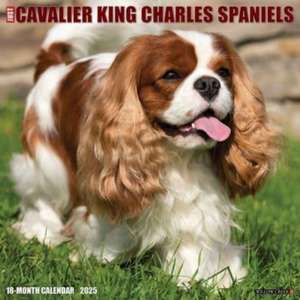 Just Cavalier King Charles Spaniels 2025 12 X 12 Wall Calendar de Willow Creek Press