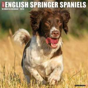 Just English Springer Spaniels 2025 12 X 12 Wall Calendar de Willow Creek Press