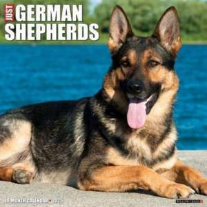 Just German Shepherds 2025 12 X 12 Wall Calendar de Willow Creek Press