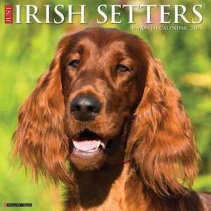 Just Irish Setters 2025 12 X 12 Wall Calendar de Willow Creek Press