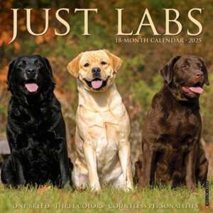 Just Labs 2025 12 X 12 Wall Calendar de Willow Creek Press