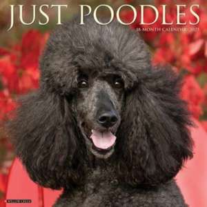 Just Poodles 2025 12 X 12 Wall Calendar de Willow Creek Press