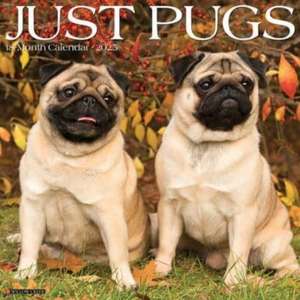 Just Pugs 2025 12 X 12 Wall Calendar de Willow Creek Press