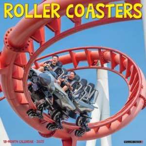 Roller Coasters 2025 12 X 12 Wall Calendar de Willow Creek Press