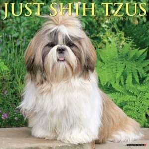 Just Shih Tzus 2025 12 X 12 Wall Calendar de Willow Creek Press