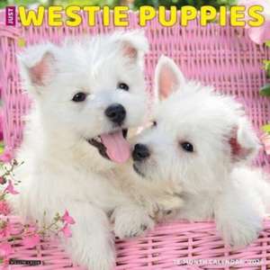 Just Westie Puppies 2025 12 X 12 Wall Calendar de Willow Creek Press