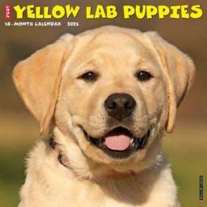 Just Yellow Lab Puppies 2025 12 X 12 Wall Calendar de Willow Creek Press